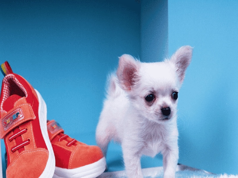 女子不孕治疗费用，不孕不育费用莱北京家圆