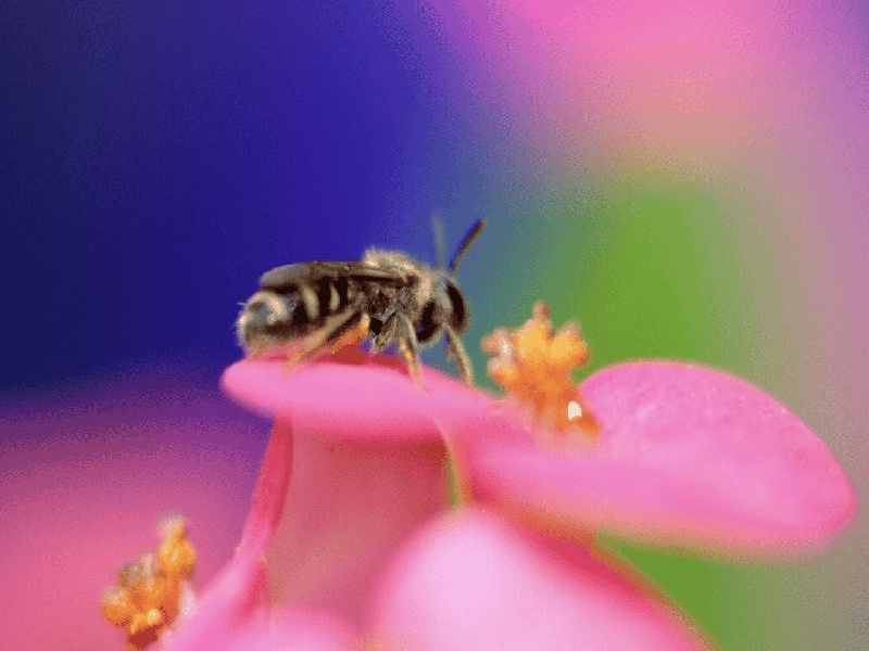 悉尼宁波试管医院，试管放入子宫后